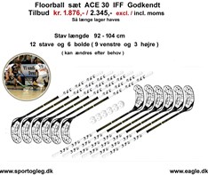 Floorball Sæt ACE 30 Tilbud IFF Godkendt